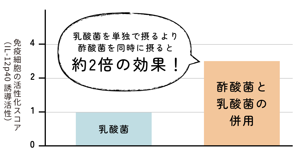 酢酸菌と乳酸菌を一緒に摂ると、さらに約2倍のアレルギー効果！