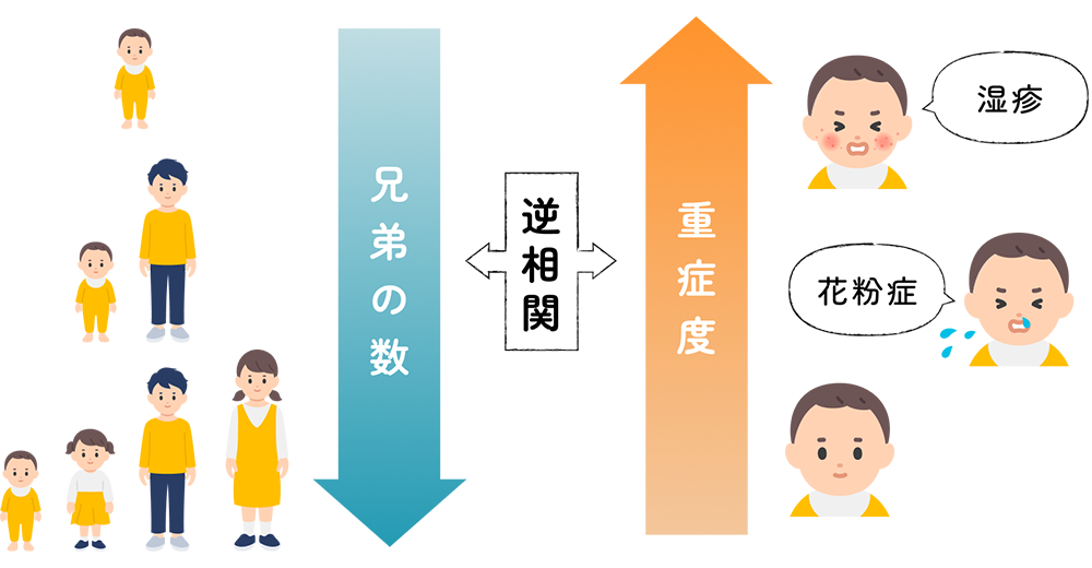 疫学調査②兄弟姉妹が多いほどアレルギーになりにくい